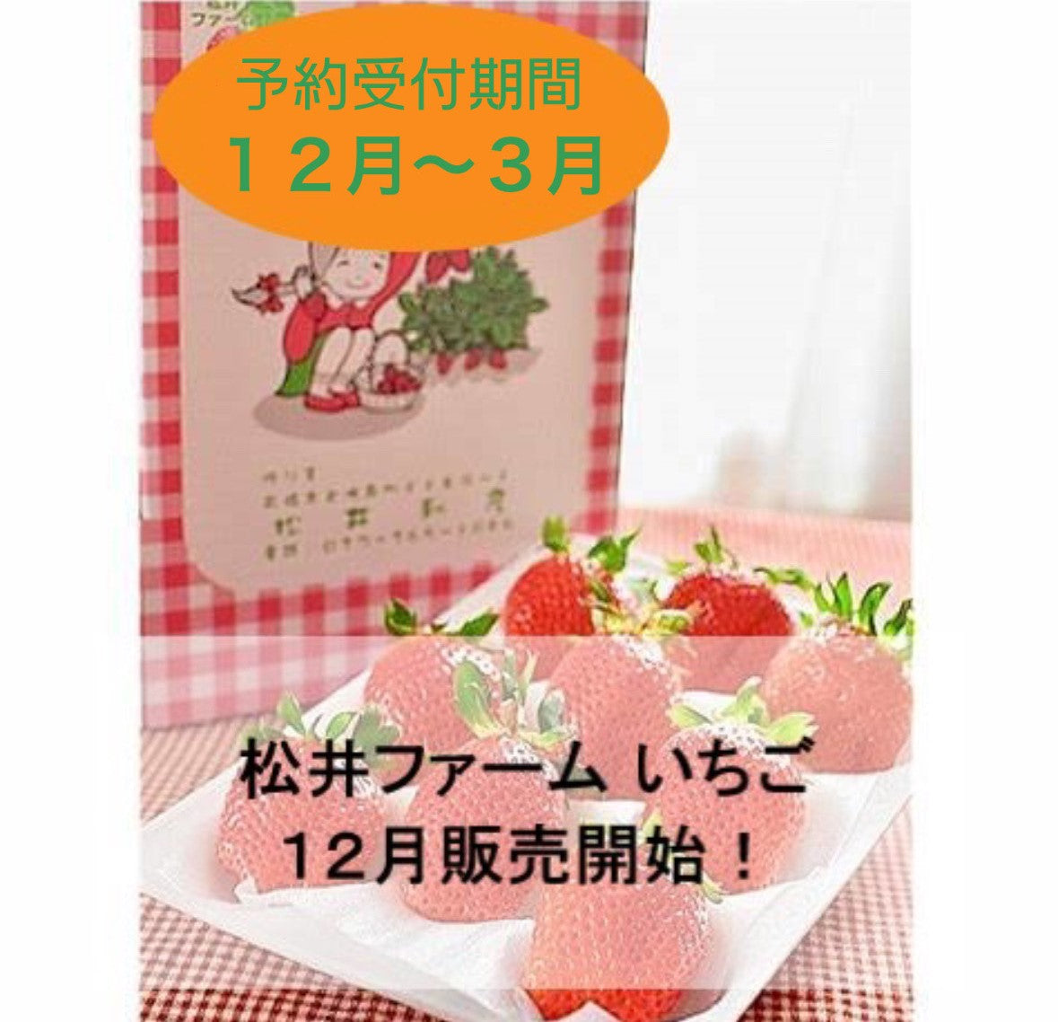 前橋市産 いちご(3箱)