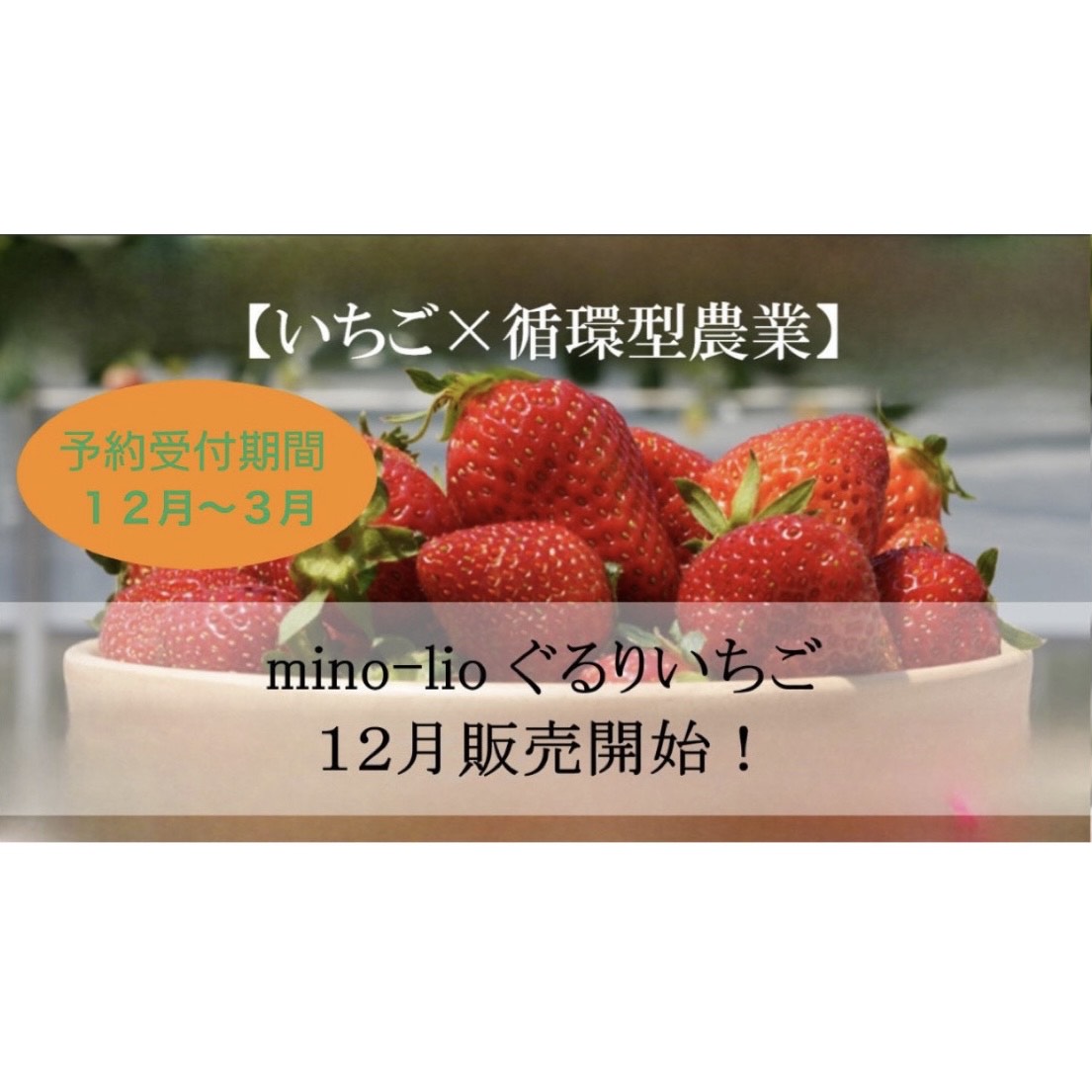 ぐるりいちご
