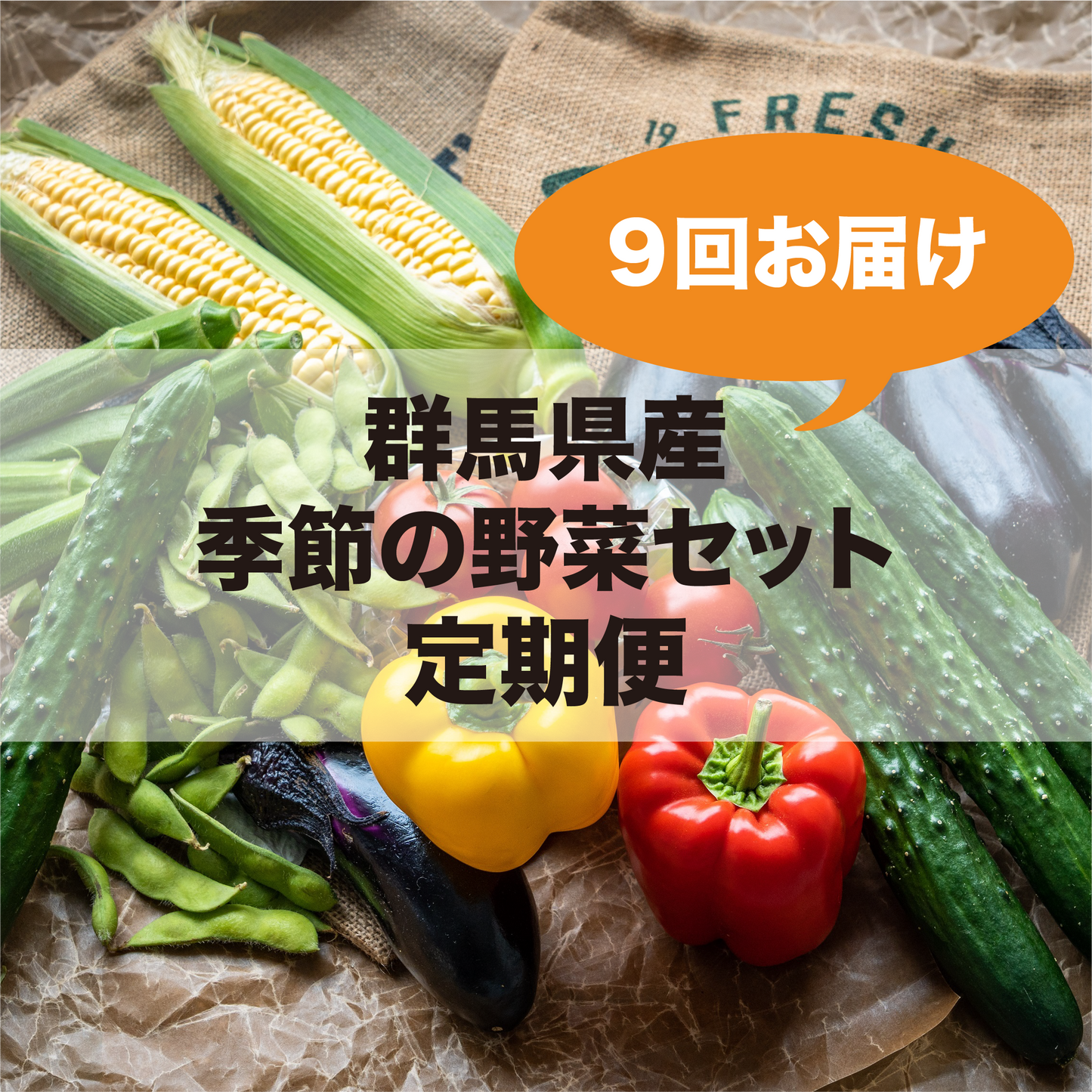 群馬県産 季節の野菜セット定期便(9回お届け)