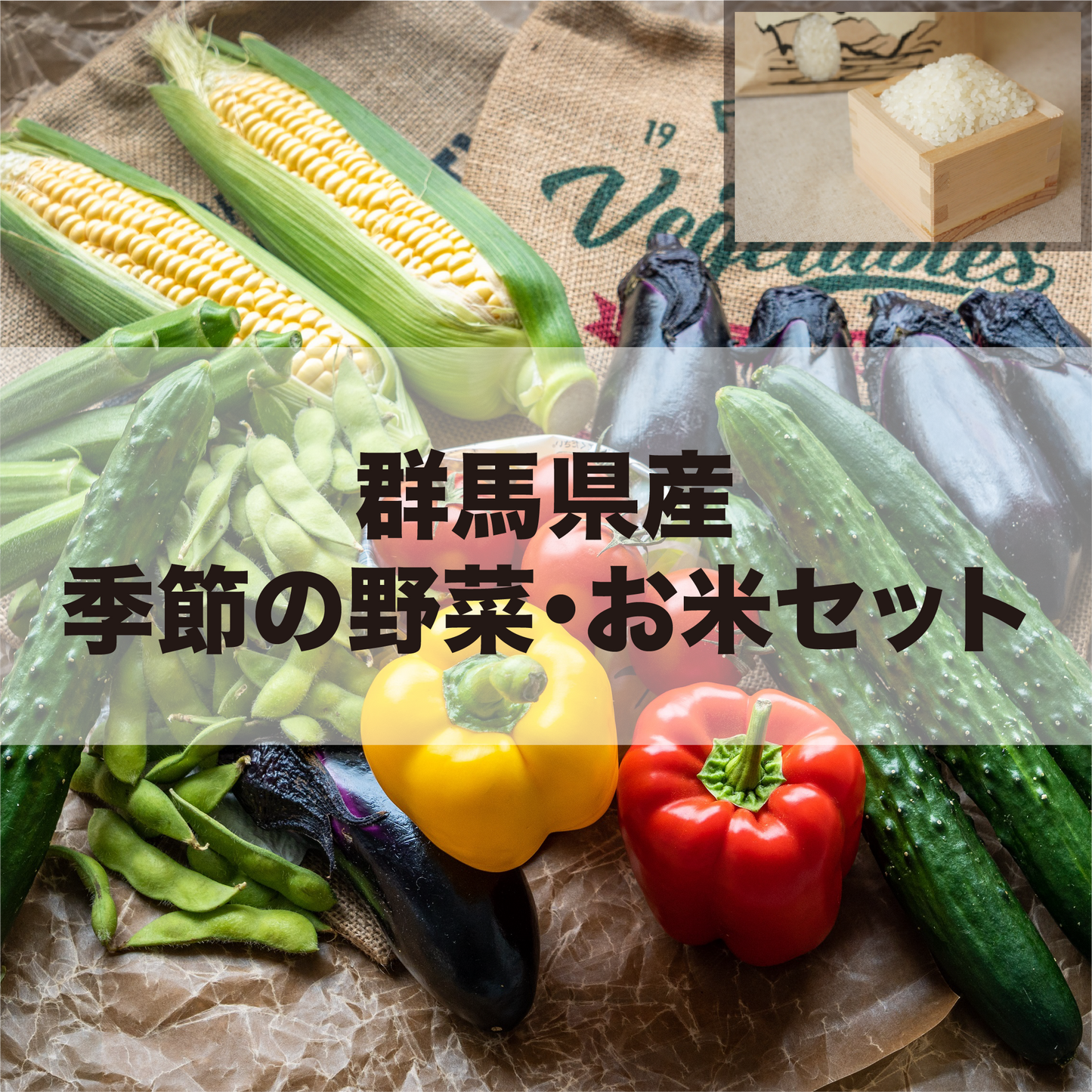 群馬県産 季節の野菜・お米セット
