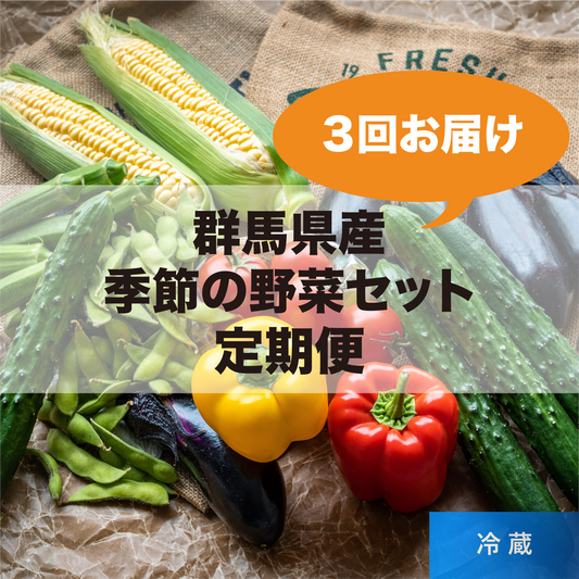 群馬県産  季節の野菜セット定期便（３回お届け）