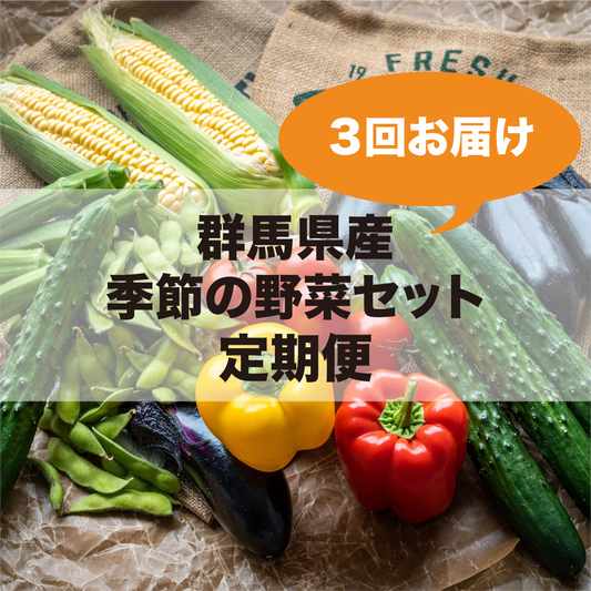 群馬県産  季節の野菜セット定期便（３回お届け）
