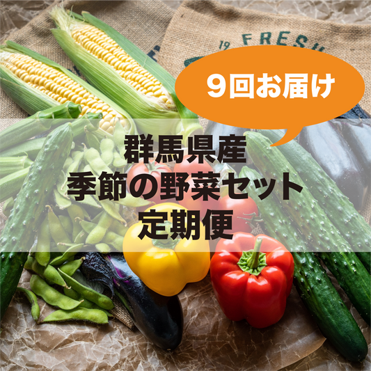 群馬県産  季節の野菜セット定期便（９回お届け）