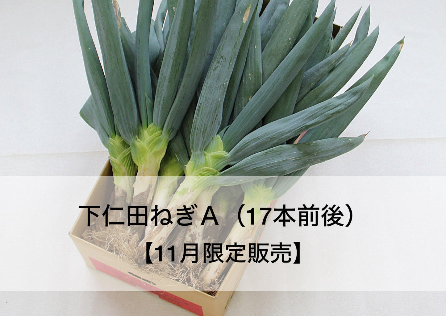 下仁田ねぎ詰め合わせA