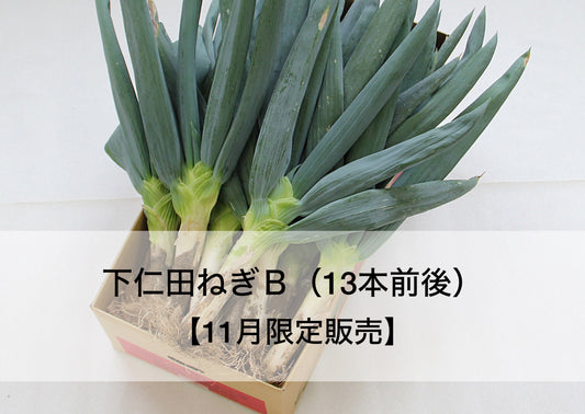 下仁田ねぎ詰め合わせB