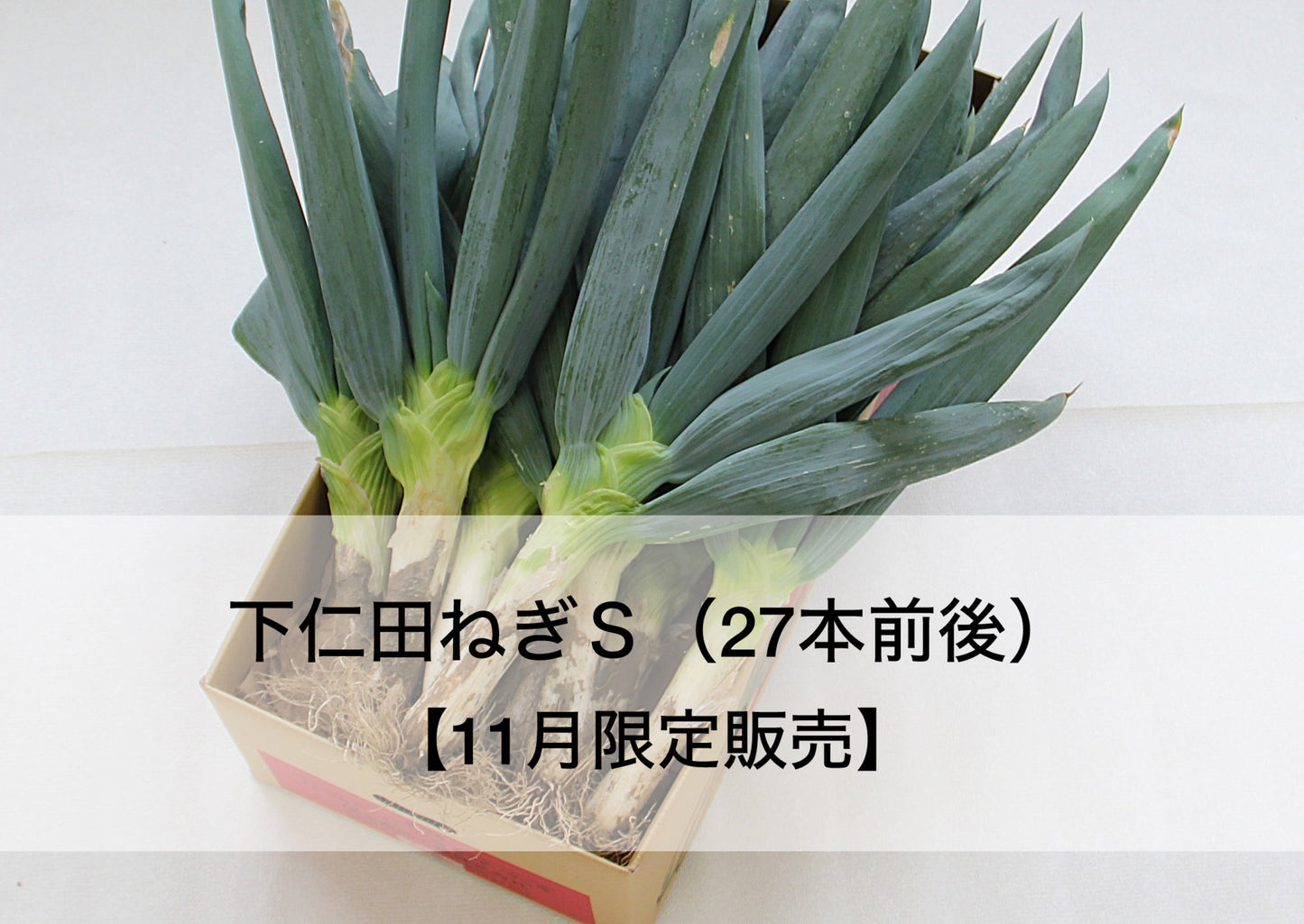 下仁田ねぎ詰め合わせS