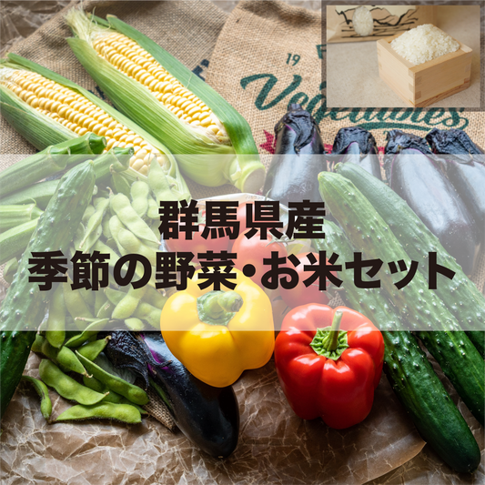 群馬県産  季節の野菜・お米セット