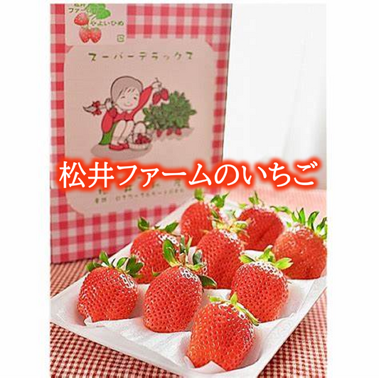 前橋市産 いちご（１箱）