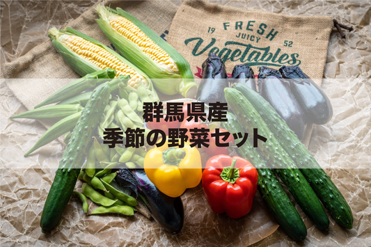 群馬県産  季節の野菜セット