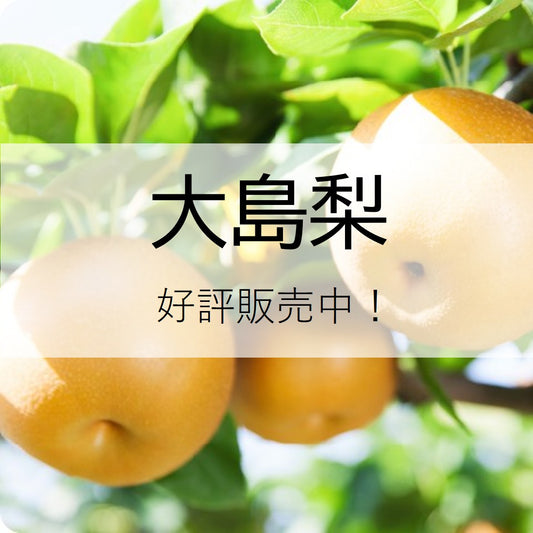 大島梨（３kg）